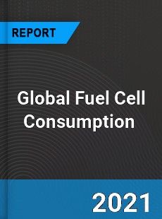 Global Fuel Cell Consumption Market