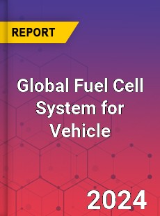 Global Fuel Cell System for Vehicle Industry