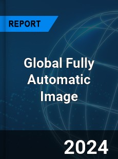 Global Fully Automatic Image Analysis