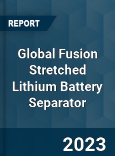 Global Fusion Stretched Lithium Battery Separator Industry