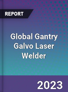 Global Gantry Galvo Laser Welder Industry