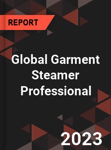 Global Garment Steamer Professional Market