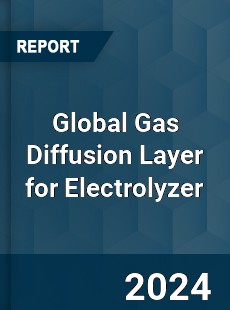 Global Gas Diffusion Layer for Electrolyzer Industry