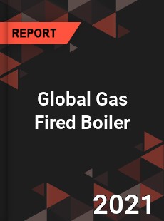 Global Gas Fired Boiler Market