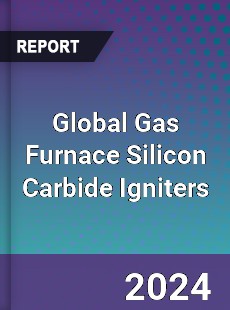 Global Gas Furnace Silicon Carbide Igniters Industry