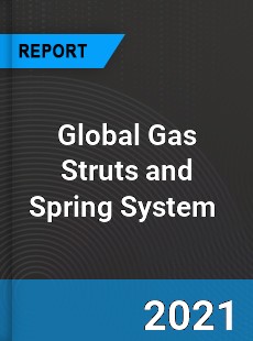 Global Gas Struts and Spring System Market