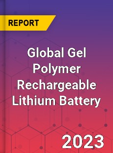 Global Gel Polymer Rechargeable Lithium Battery Industry