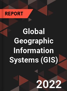 Global Geographic Information Systems Market