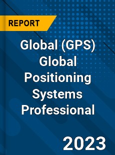 Global Global Positioning Systems Professional Market