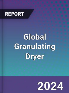 Global Granulating Dryer Industry