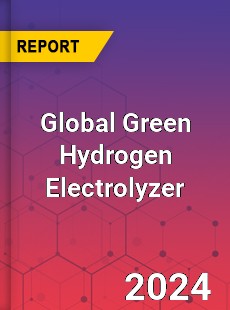 Global Green Hydrogen Electrolyzer Industry