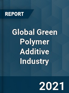 Global Green Polymer Additive Industry