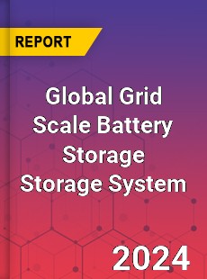 Global Grid Scale Battery Storage Storage System Industry