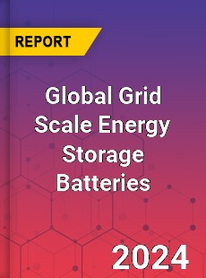 Global Grid Scale Energy Storage Batteries Industry