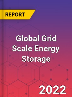 Global Grid Scale Energy Storage Market