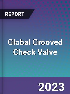 Global Grooved Check Valve Industry