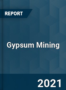 Global Gypsum Mining Professional Survey Report