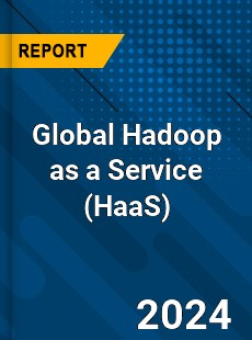 Global Hadoop as a Service Industry