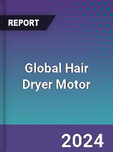 Global Hair Dryer Motor Industry