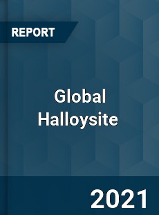 Global Halloysite Market