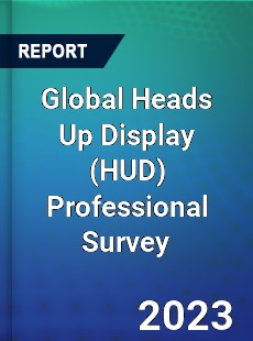 Global Heads Up Display Professional Survey Report