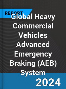 Global Heavy Commercial Vehicles Advanced Emergency Braking System Industry