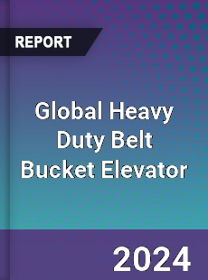 Global Heavy Duty Belt Bucket Elevator Industry