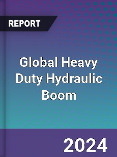 Global Heavy Duty Hydraulic Boom Industry