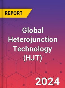 Global Heterojunction Technology Industry