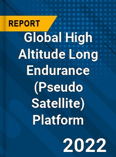 Global High Altitude Long Endurance Platform Market