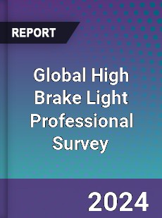 Global High Brake Light Professional Survey Report