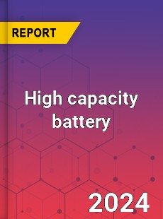 Global High capacity battery Industry