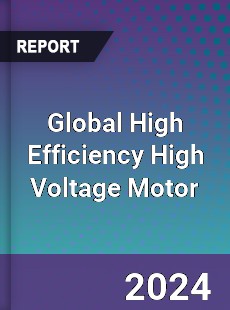 Global High Efficiency High Voltage Motor Industry