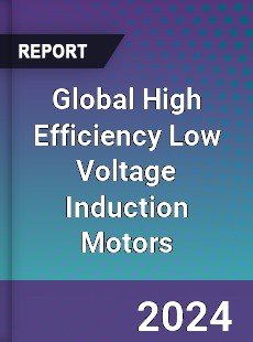 Global High Efficiency Low Voltage Induction Motors Industry