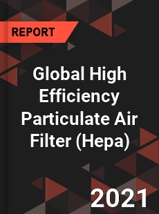 Global High Efficiency Particulate Air Filter Market