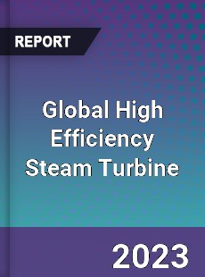 Global High Efficiency Steam Turbine Industry