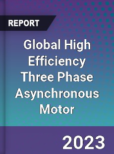 Global High Efficiency Three Phase Asynchronous Motor Industry