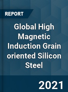 Global High Magnetic Induction Grain oriented Silicon Steel Market