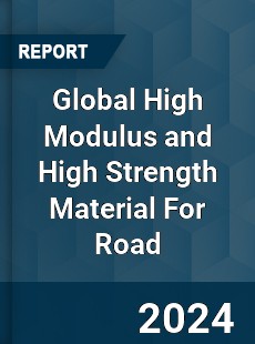 Global High Modulus and High Strength Material For Road Industry