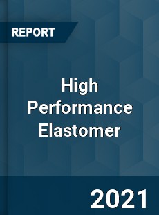 Global High Performance Elastomer Professional Survey Report