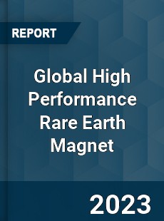 Global High Performance Rare Earth Magnet Industry