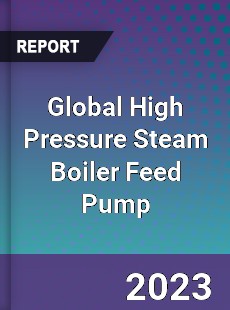 Global High Pressure Steam Boiler Feed Pump Industry