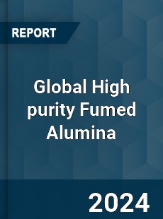 Global High purity Fumed Alumina Industry