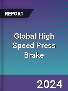 Global High Speed Press Brake Industry