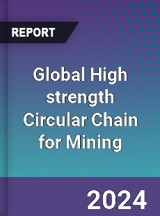 Global High strength Circular Chain for Mining Industry