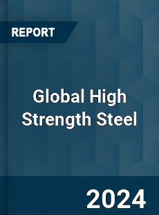 Global High Strength Steel Market