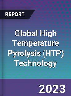 Global High Temperature Pyrolysis Technology Industry