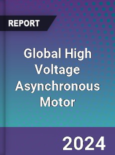 Global High Voltage Asynchronous Motor Industry