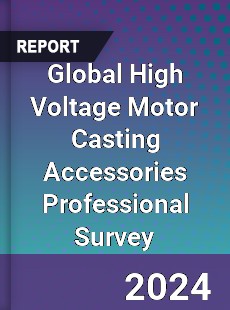 Global High Voltage Motor Casting Accessories Professional Survey Report