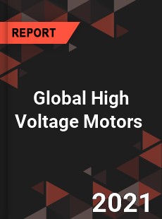 Global High Voltage Motors Market